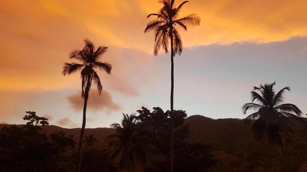 Ecolodge Playa Brava Teyumakke Calabazo  المظهر الخارجي الصورة