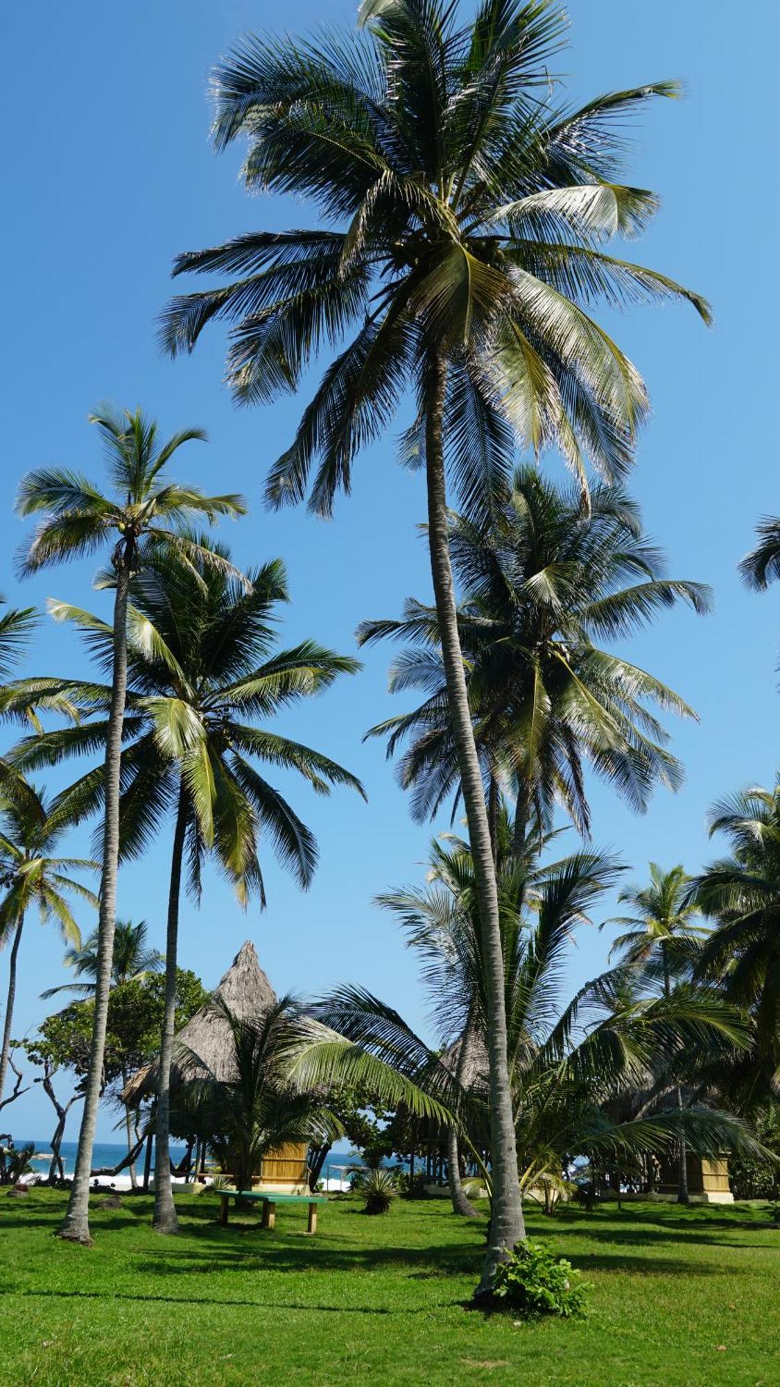 Ecolodge Playa Brava Teyumakke Calabazo  المظهر الخارجي الصورة